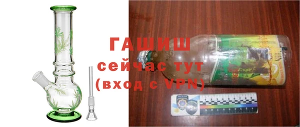 сатива Рославль