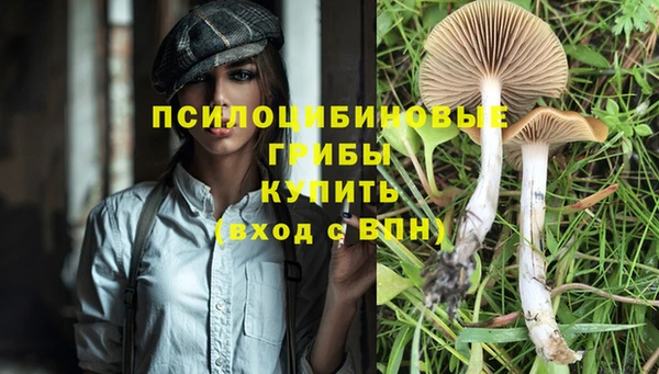 амфетамин Зерноград