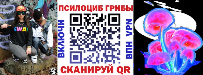 как найти закладки  Светлогорск  Псилоцибиновые грибы Magic Shrooms 